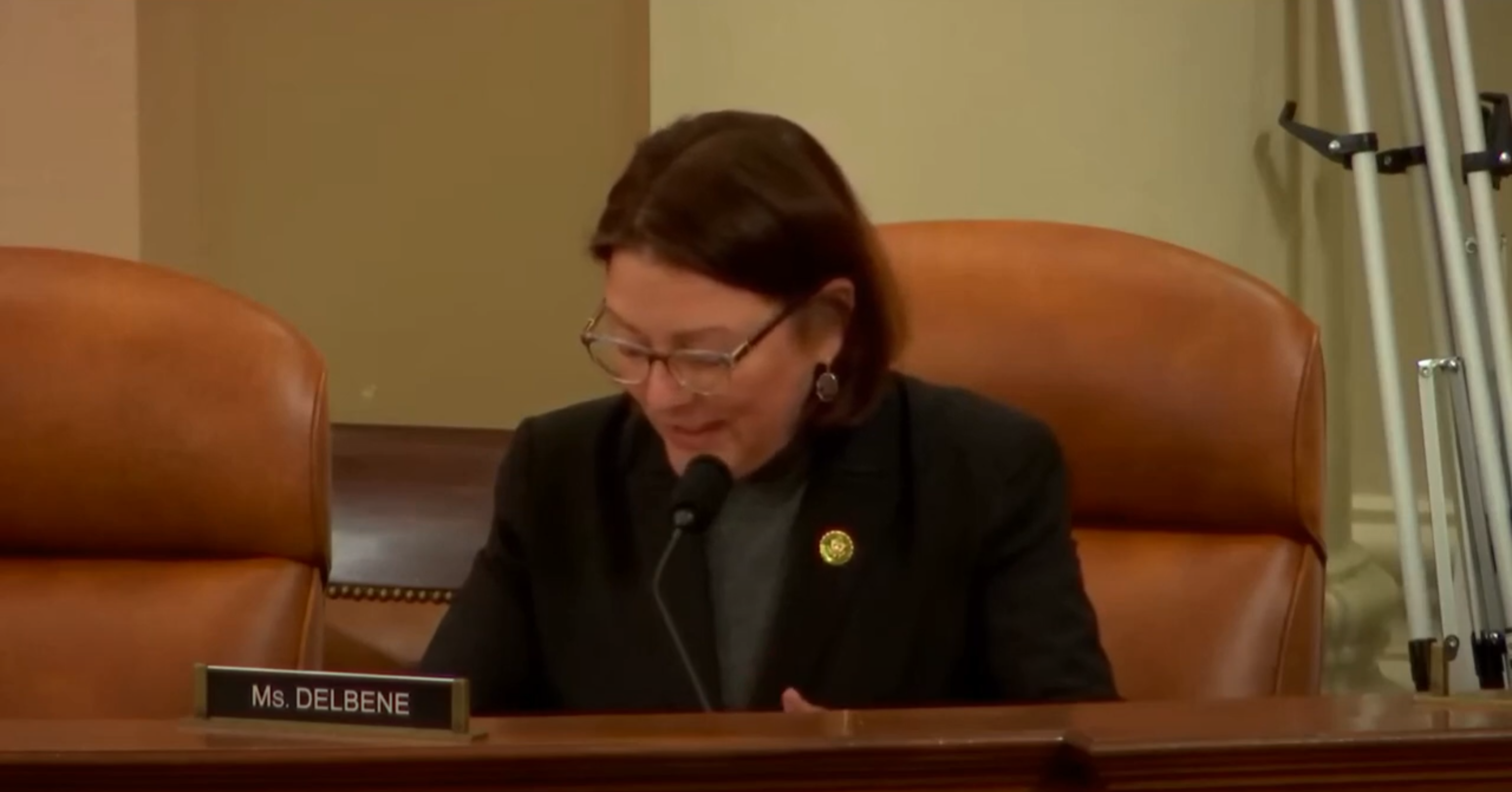 DelBene Debt Prioritization Hearing