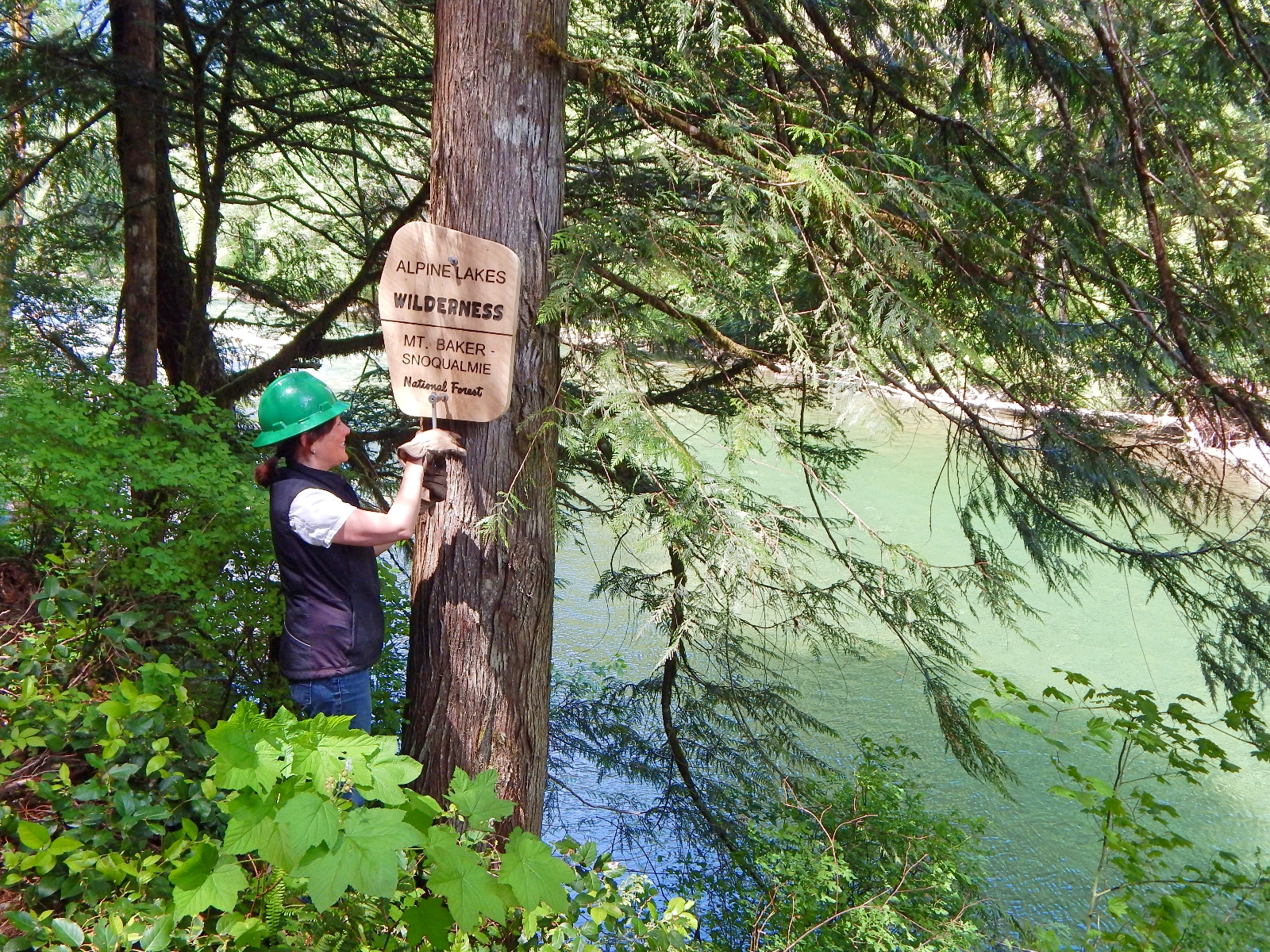 Congresswoman Suzan Delbene near a tree